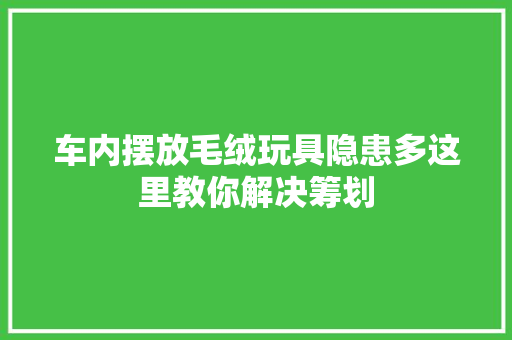 车内摆放毛绒玩具隐患多这里教你解决筹划