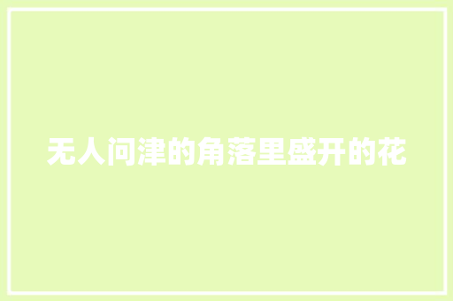 无人问津的角落里盛开的花