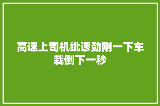 高速上司机纰谬劲刚一下车栽倒下一秒
