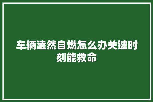 车辆溘然自燃怎么办关键时刻能救命