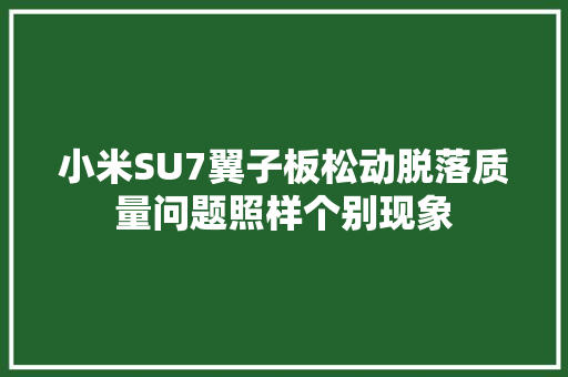 小米SU7翼子板松动脱落质量问题照样个别现象