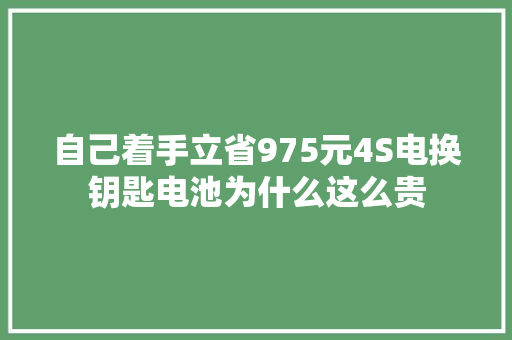 自己着手立省975元4S电换钥匙电池为什么这么贵