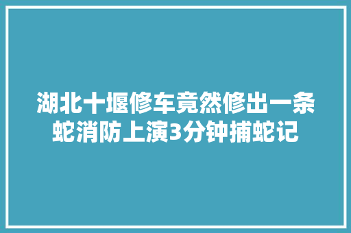 湖北十堰修车竟然修出一条蛇消防上演3分钟捕蛇记