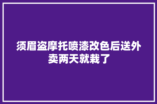 须眉盗摩托喷漆改色后送外卖两天就栽了