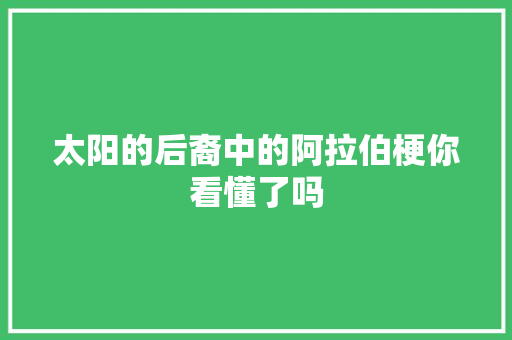 太阳的后裔中的阿拉伯梗你看懂了吗