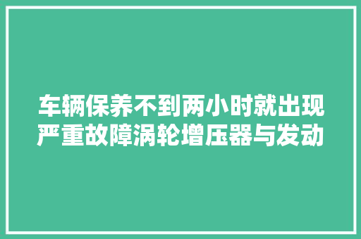 车辆保养不到两小时就出现严重故障涡轮增压器与发动机之间进气管脱落惹祸 力帆车做事站称或为维修人员失落误所致