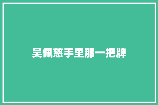 吴佩慈手里那一把牌