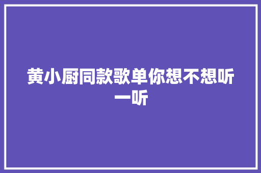 黄小厨同款歌单你想不想听一听