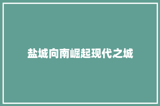 盐城向南崛起现代之城
