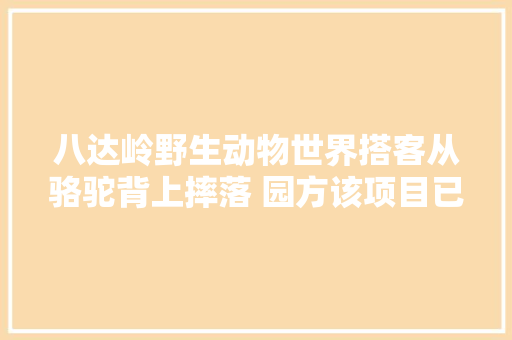 八达岭野生动物世界搭客从骆驼背上摔落 园方该项目已暂停