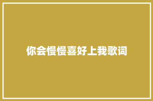 你会慢慢喜好上我歌词