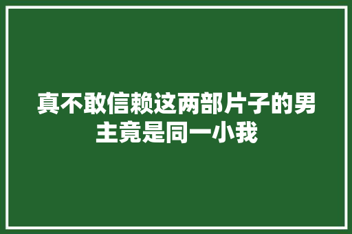 真不敢信赖这两部片子的男主竟是同一小我