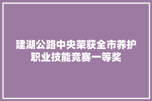 建湖公路中央荣获全市养护职业技能竞赛一等奖