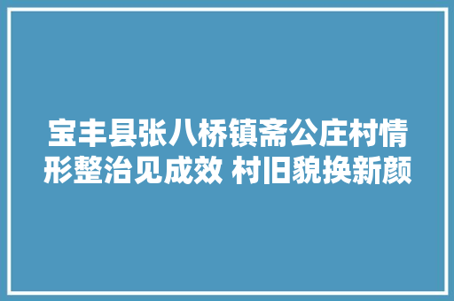 宝丰县张八桥镇斋公庄村情形整治见成效 村旧貌换新颜