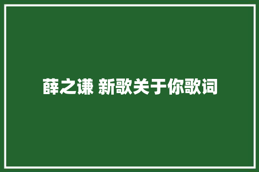 薛之谦 新歌关于你歌词 休闲娱乐