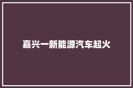 嘉兴一新能源汽车起火