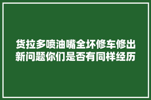 货拉多喷油嘴全坏修车修出新问题你们是否有同样经历
