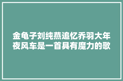 金龟子刘纯燕追忆乔羽大年夜风车是一首具有魔力的歌曲