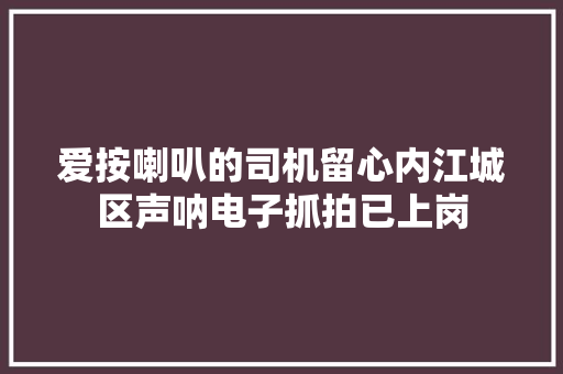 爱按喇叭的司机留心内江城区声呐电子抓拍已上岗