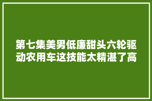 第七集美男低廉甜头六轮驱动农用车这技能太精湛了高手 汽车知识