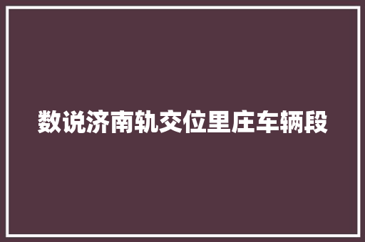 数说济南轨交位里庄车辆段