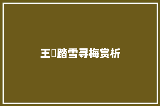 王镃踏雪寻梅赏析