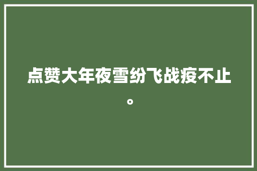 点赞大年夜雪纷飞战疫不止。