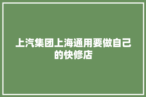 上汽集团上海通用要做自己的快修店