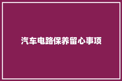 汽车电路保养留心事项