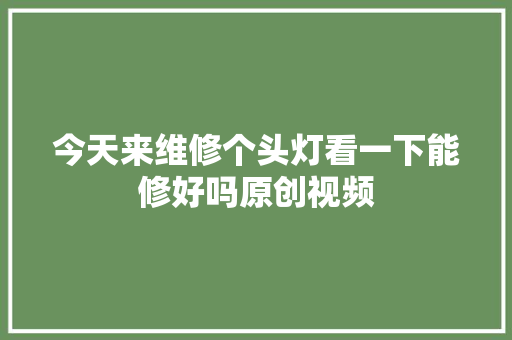 今天来维修个头灯看一下能修好吗原创视频