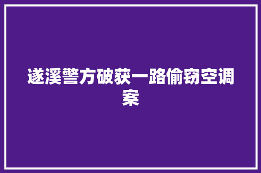 遂溪警方破获一路偷窃空调案