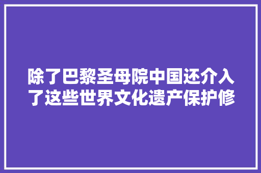 除了巴黎圣母院中国还介入了这些世界文化遗产保护修复