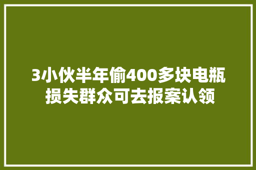 3小伙半年偷400多块电瓶 损失群众可去报案认领