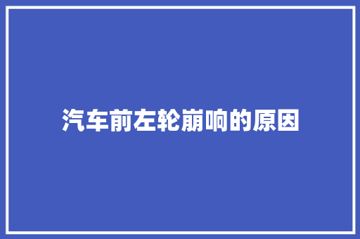 汽车前左轮崩响的原因