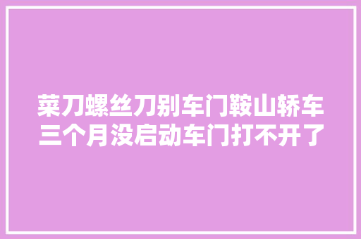 菜刀螺丝刀别车门鞍山轿车三个月没启动车门打不开了