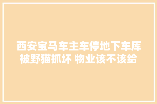 西安宝马车主车停地下车库被野猫抓坏 物业该不该给赔