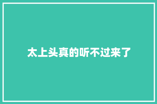 太上头真的听不过来了