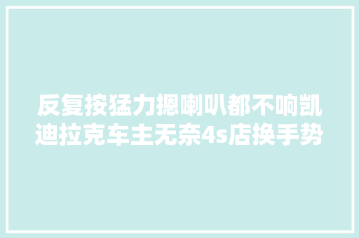 反复按猛力摁喇叭都不响凯迪拉克车主无奈4s店换手势按