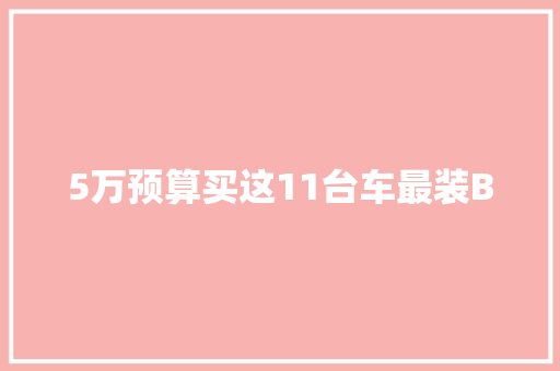 5万预算买这11台车最装B