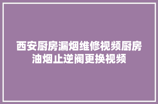 西安厨房漏烟维修视频厨房油烟止逆阀更换视频