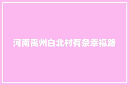 河南禹州白北村有条幸福路