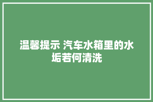 温馨提示 汽车水箱里的水垢若何清洗