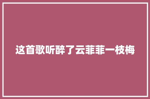 这首歌听醉了云菲菲一枝梅