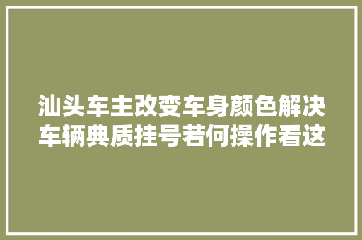 汕头车主改变车身颜色解决车辆典质挂号若何操作看这里  车驾管营业攻略