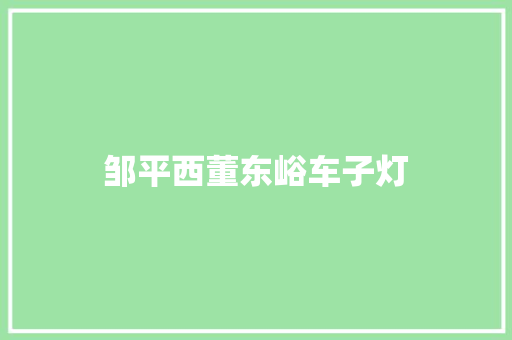 邹平西董东峪车子灯