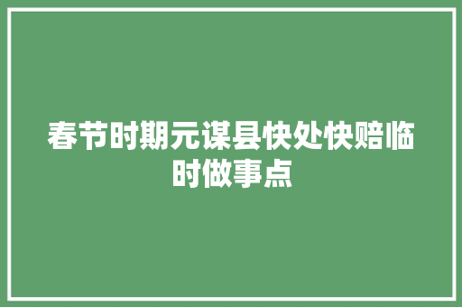 春节时期元谋县快处快赔临时做事点