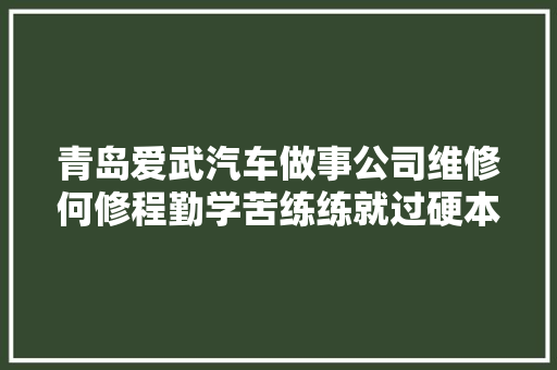 青岛爱武汽车做事公司维修何修程勤学苦练练就过硬本领