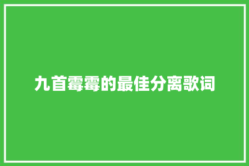 九首霉霉的最佳分离歌词