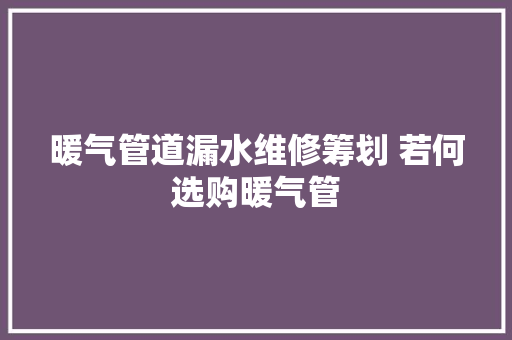 暖气管道漏水维修筹划 若何选购暖气管