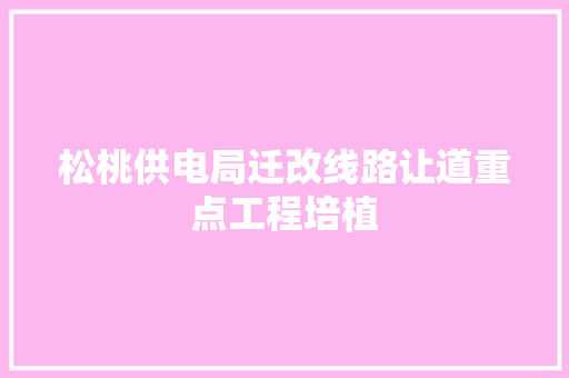 松桃供电局迁改线路让道重点工程培植